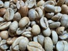 他の写真3: メキシコCOE2024#9　ロス・ピノス農園　100ｇ