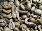 他の写真2: メキシコCOE2024#9　ロス・ピノス農園　100ｇ