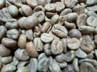 他の写真2: コスタリカ コスタリカ ドン・オスカルマイクロミル  コヨーテRED HONEY 100g