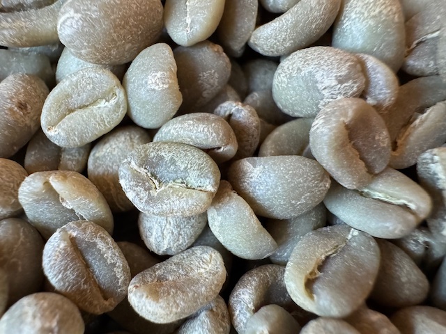 画像: エチオピア　イルガチェフェ　イディド農協　Grade1　Washed　100ｇ